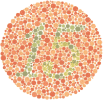 Color Blind Test